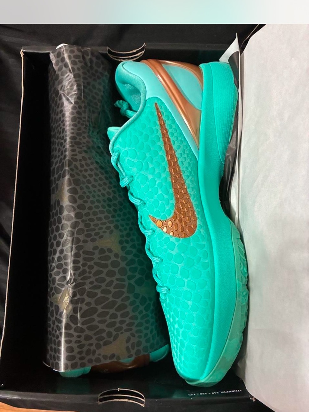 Brand new Nike Kobe 6